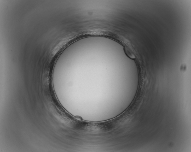 X0000111630299200907311234