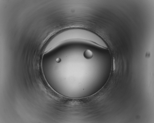 X0000111630300200907311234