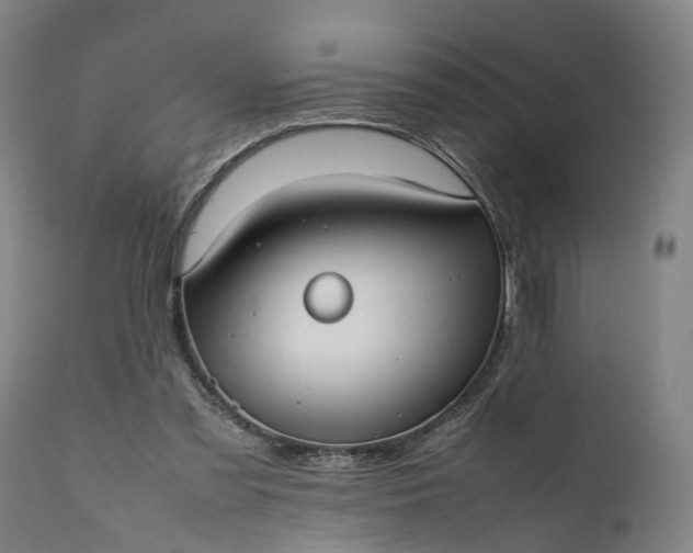 X0000111630301200907311234