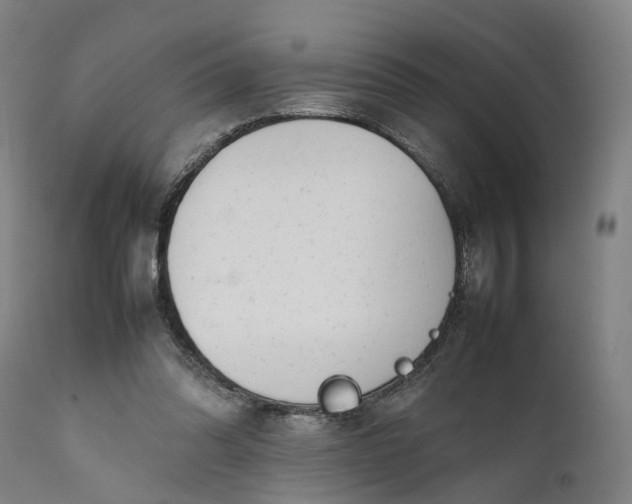 X0000111630302200907311234