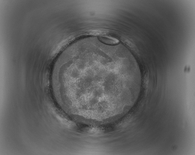 X0000111630303200907311234