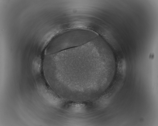 X0000111630304200907311234