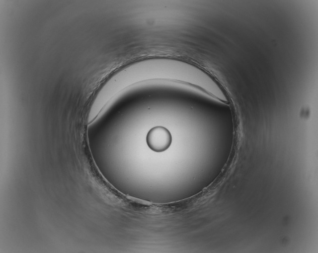 X0000111630305200907311234