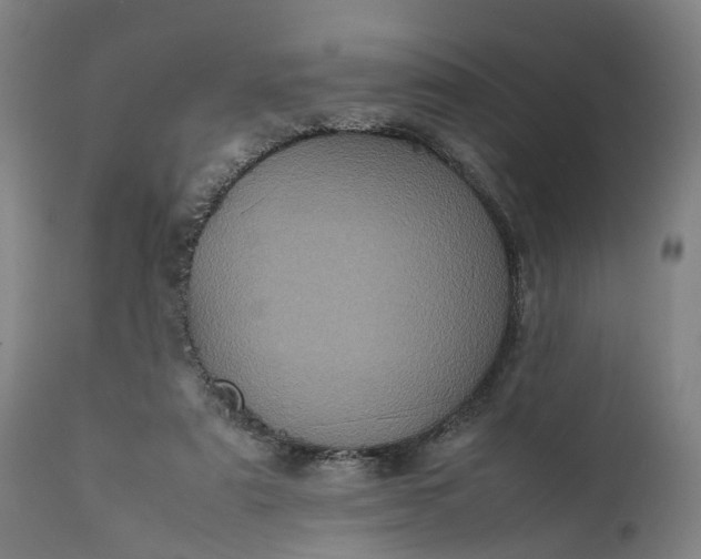 X0000111630307200907311234