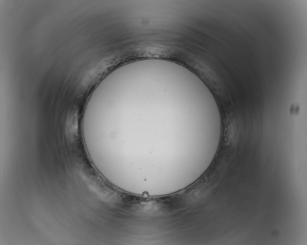 X0000111630310200907311234