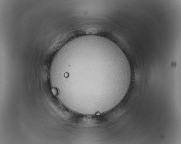 X0000111630311200907311234