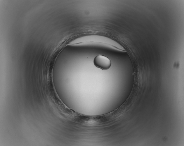 X0000111630312200907311234