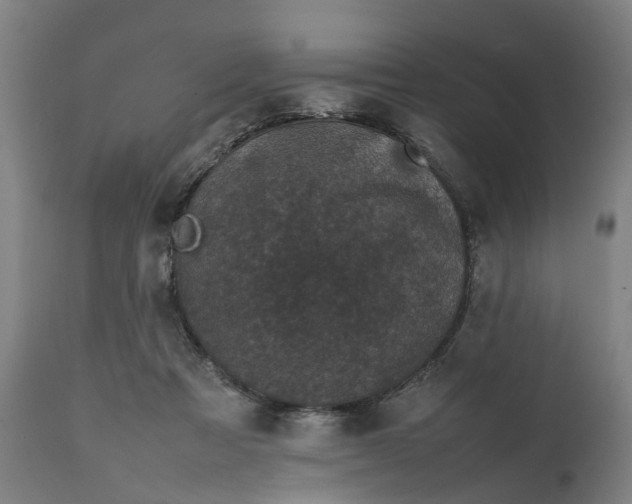 X0000111630313200907311234