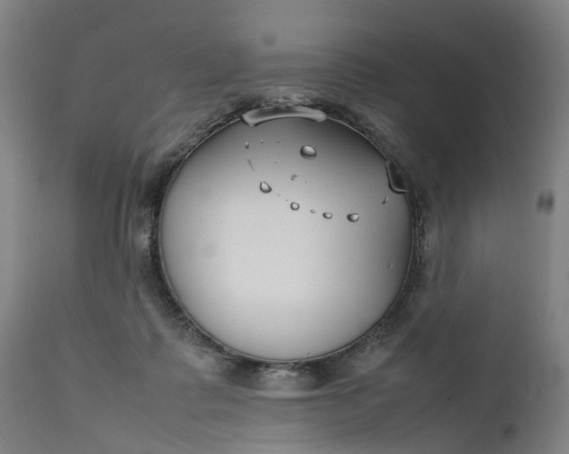 X0000111630315200907311233