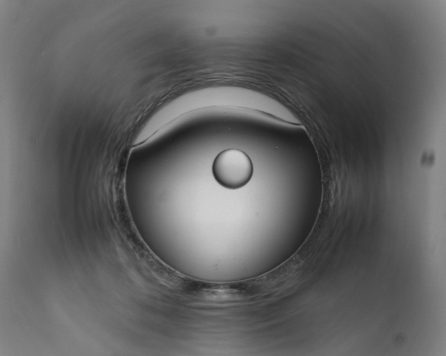 X0000111630316200907311233