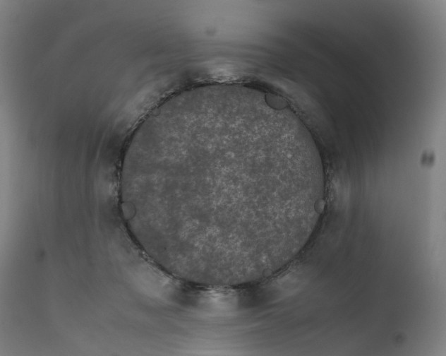 X0000111630317200907311233