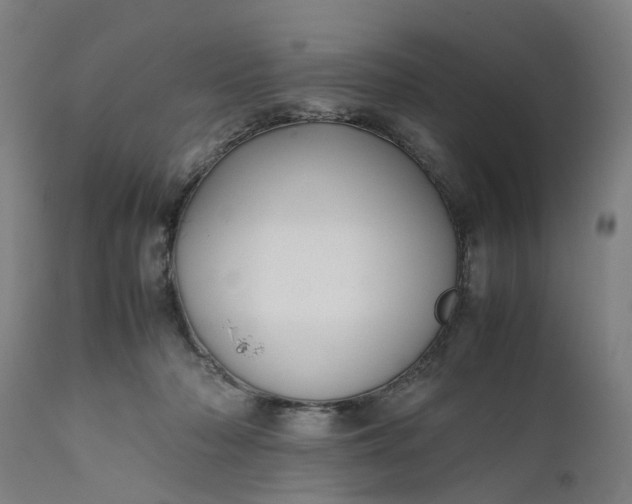 X0000111630318200907311233