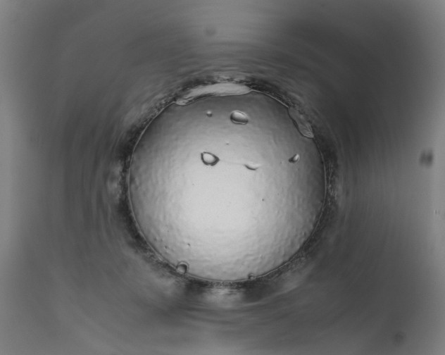 X0000111630319200907311233