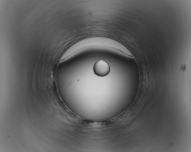 X0000111630320200907311233