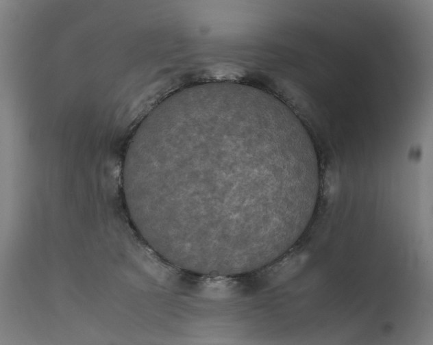 X0000111630321200907311233