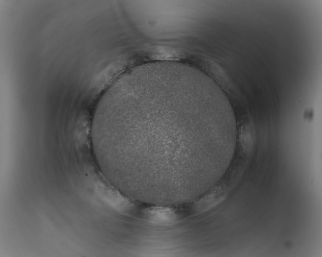 X0000111630322200907311233