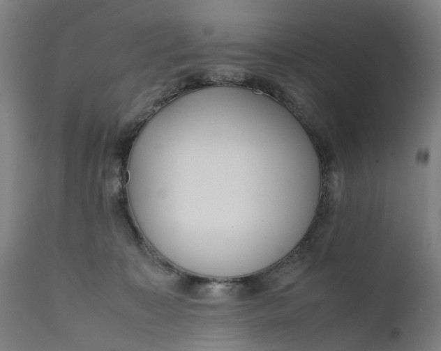 X0000111630323200907311233