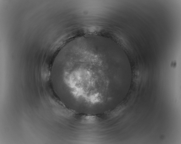 X0000111630324200907311233