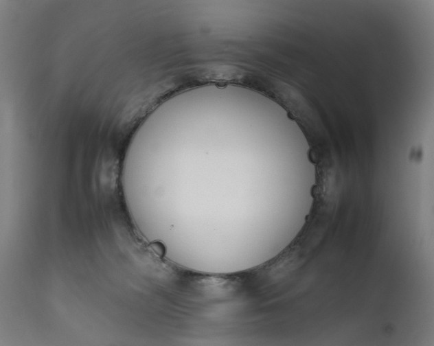 X0000111630326200907311233