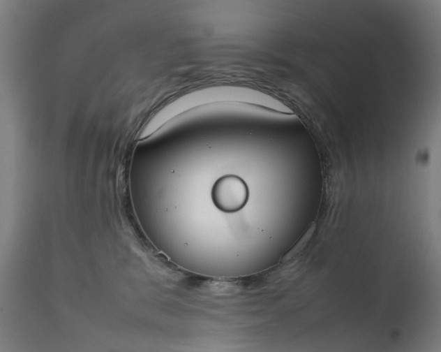 X0000111630327200907311233