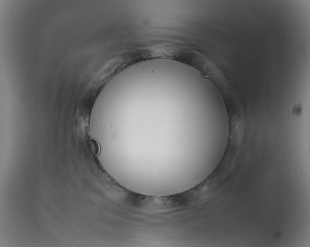 X0000111630329200907311233