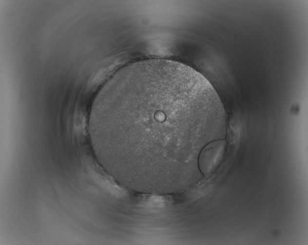 X0000111630330200907311233