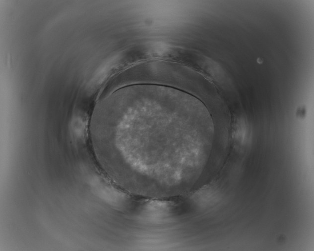 X0000111630332200907311233