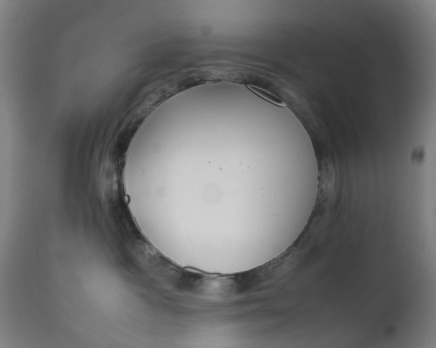 X0000111630333200907311233