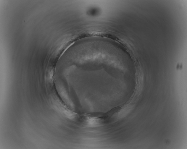 X0000111630336200907311233