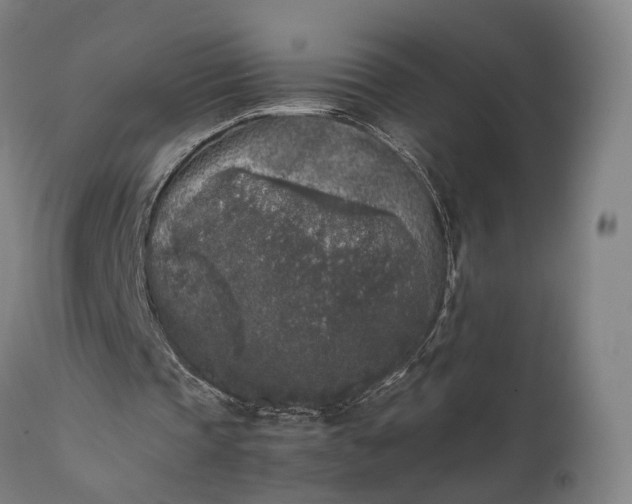 X0000111630337200907311232