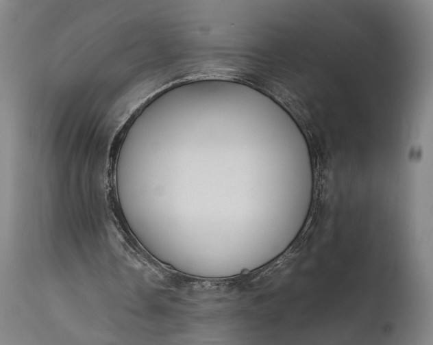 X0000111630338200907311232