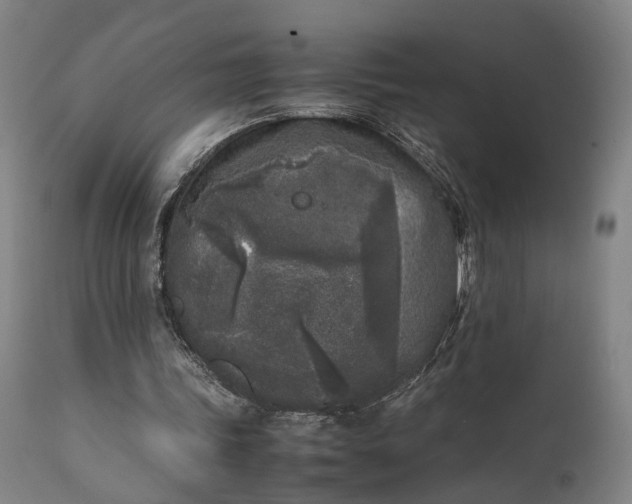 X0000111630339200907311232