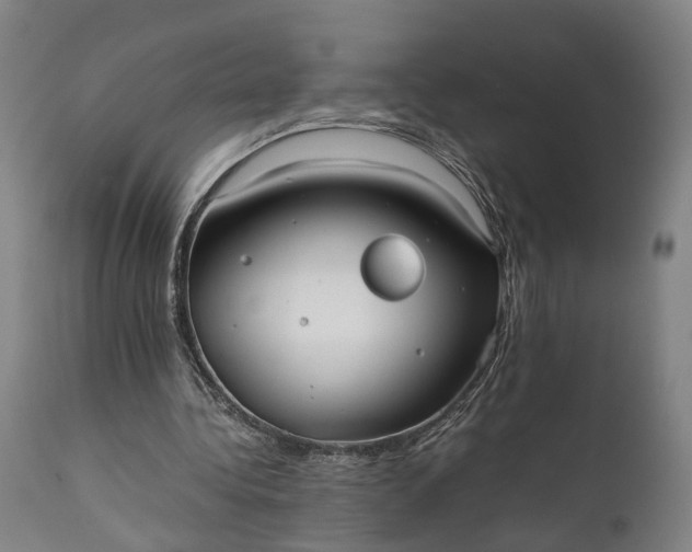 X0000111630340200907311232