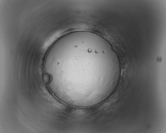 X0000111630341200907311232