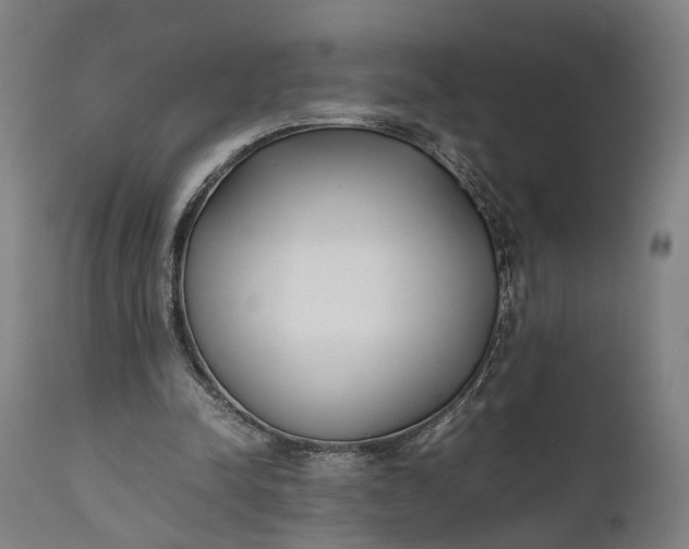 X0000111630342200907311232