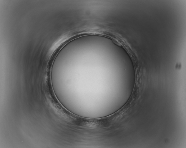 X0000111630344200907311232