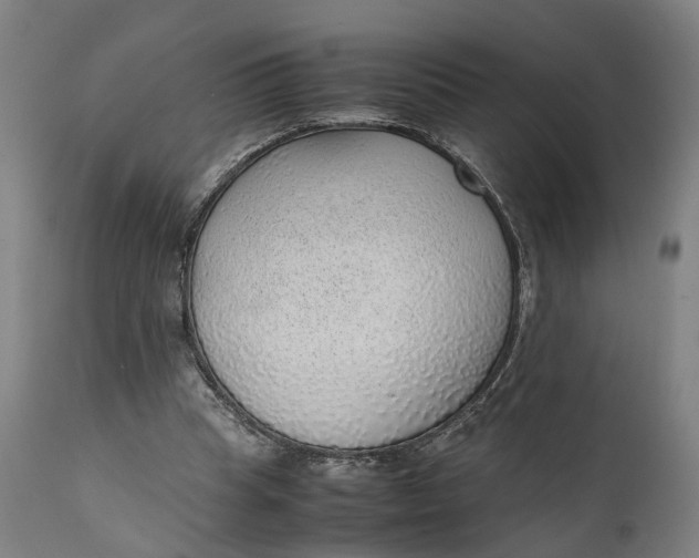 X0000111630345200907311232