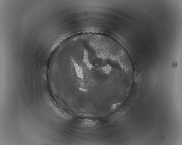 X0000111630347200907311232