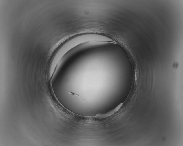 X0000111630348200907311232