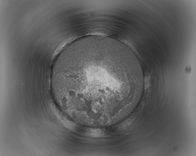 X0000111630349200907311232