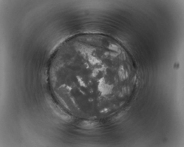 X0000111630351200907311232