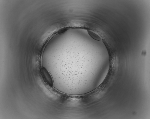 X0000111630352200907311232