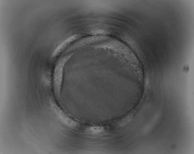 X0000111630353200907311233