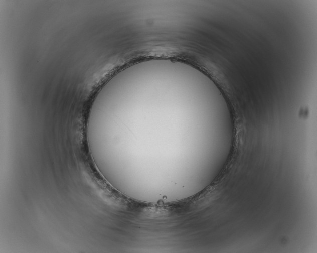 X0000111630354200907311233