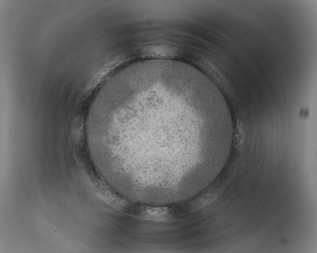 X0000111630355200907311233