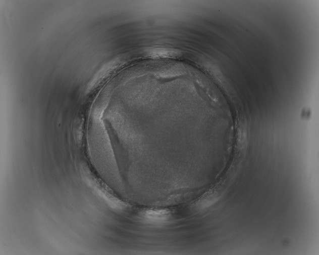 X0000111630357200907311233