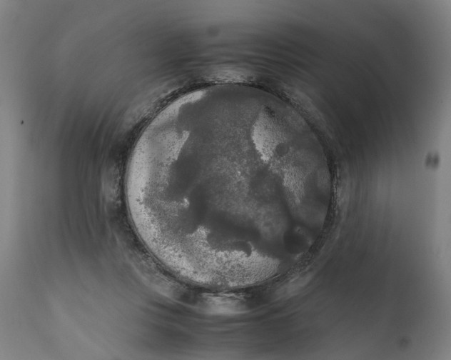 X0000111630359200907311233