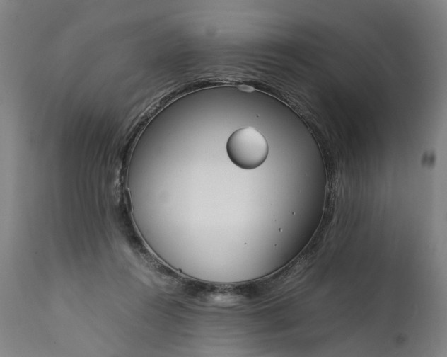 X0000111630360200907311233