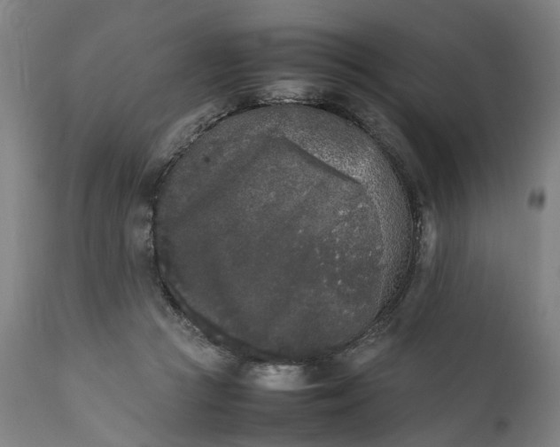 X0000111630361200907311233