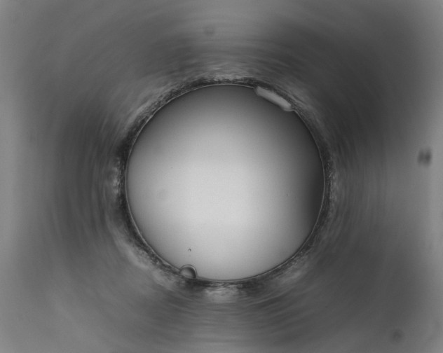 X0000111630362200907311233